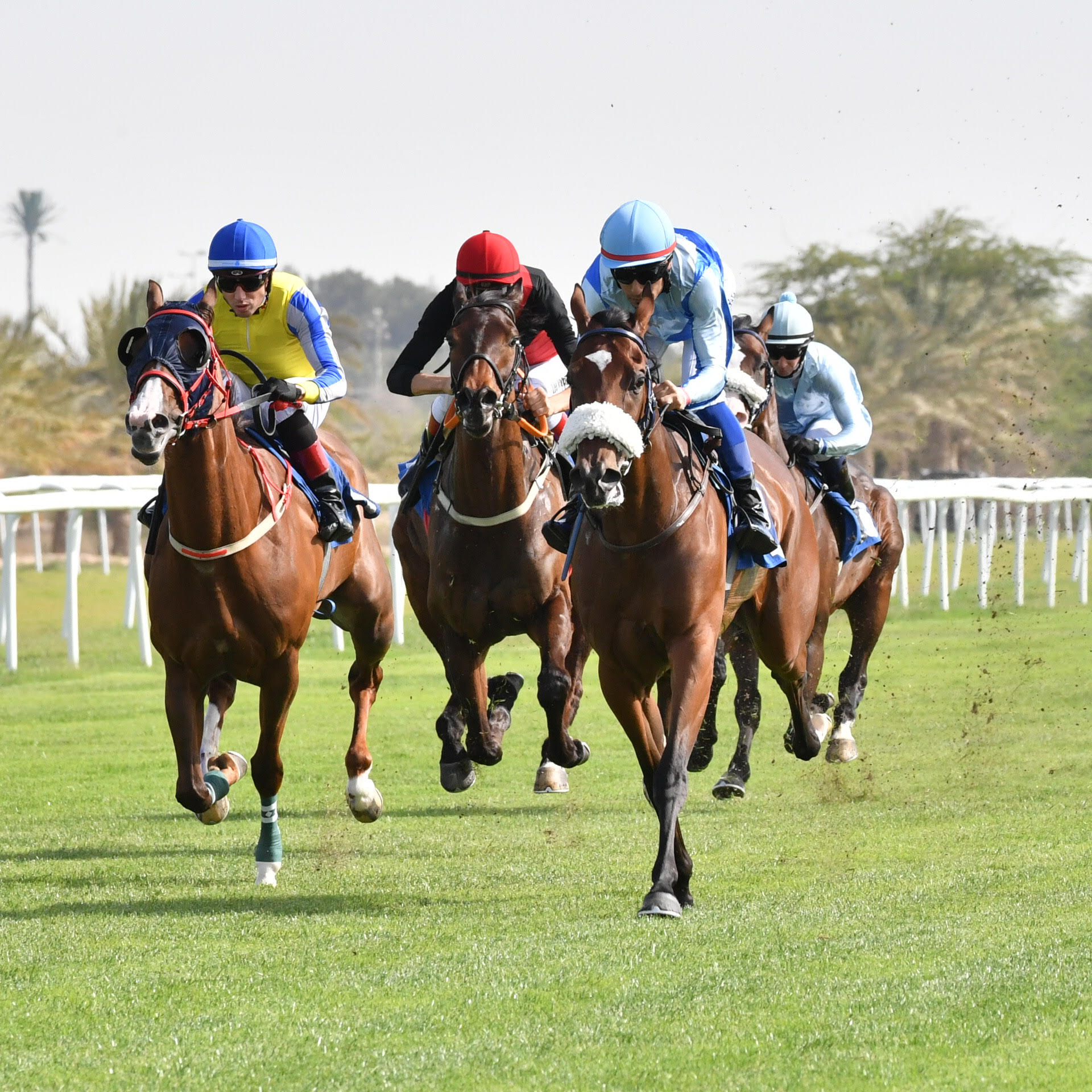 Rashid Equestrian Club holds season’s closing race Bahrain News Agency